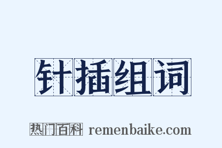 针插组词是什么意思的图片